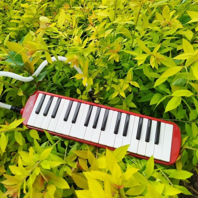 🌞Kui soovid suvel väikest instrumenti, mida loodusesse kaasa võtta, siis vali melodica! Elektrit ta ei kasuta ja väga ruumi ei võta!  Tule proovi kaupluses ise! ⛱️
