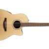 OVATION CELEBRITY STANDARD NATURAL