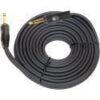 PLANET WAVES 10FT SPEAKER CABLE PWS10