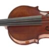 STAGG VN3/4HG VIOLIN WITH CASE