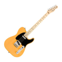 FENDER 2019 LIMITED EDITION AMERICAN PROFESSIONAL TELECASTER MN BUTTERSCOTCH BLONDE