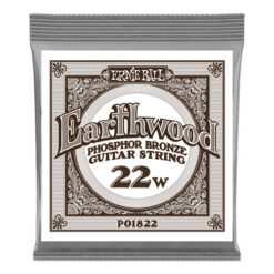 ERNIE BALL P01822 PHOSPHOR BRONZE .022, SINGLE ACOUSTIC GUITAR STRING
