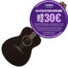 YAMAHA FS400 ACOUSTIC GUITAR SMOKY BLACK