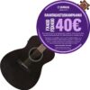 YAMAHA FSX400 SMOKY BLACK