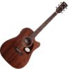 IBANEZ AW54CE OPN